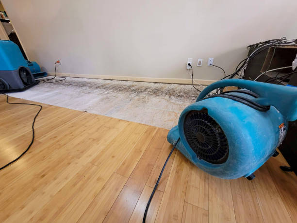Professional Structural Drying technician working in Kaylor, SD